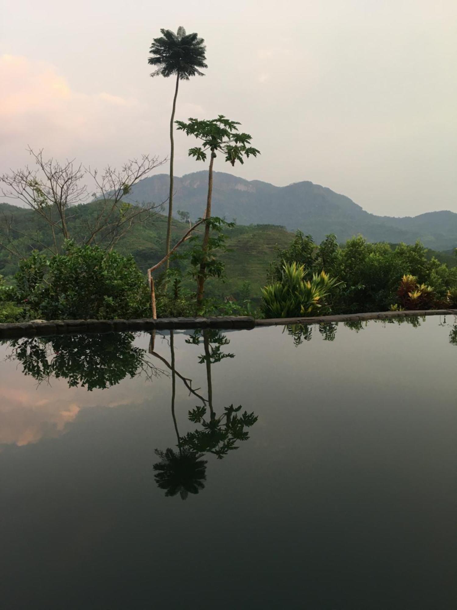 Paradise Eco Garden Kitulgala Exterior photo