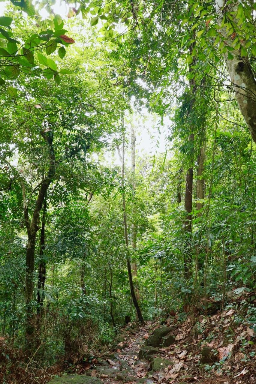 Paradise Eco Garden Kitulgala Exterior photo
