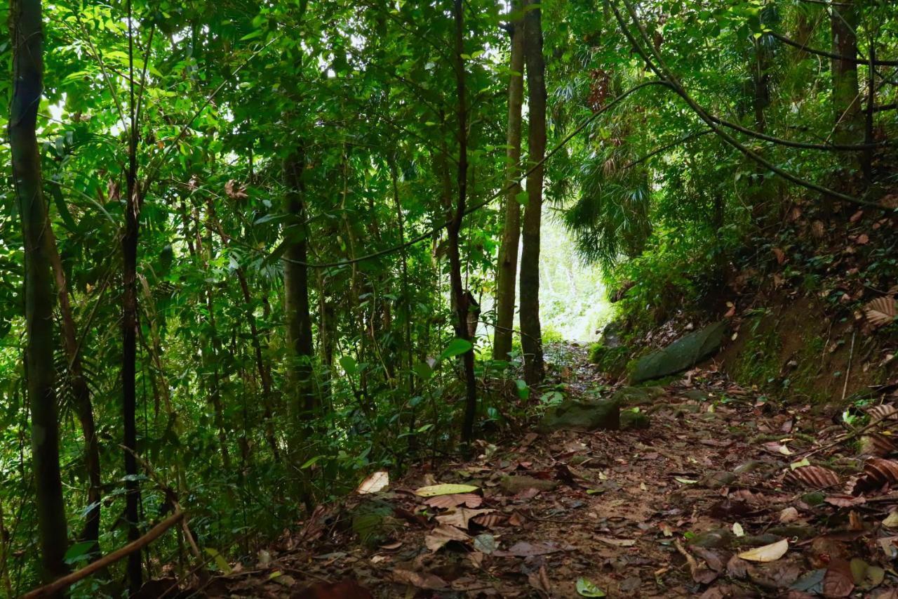 Paradise Eco Garden Kitulgala Exterior photo