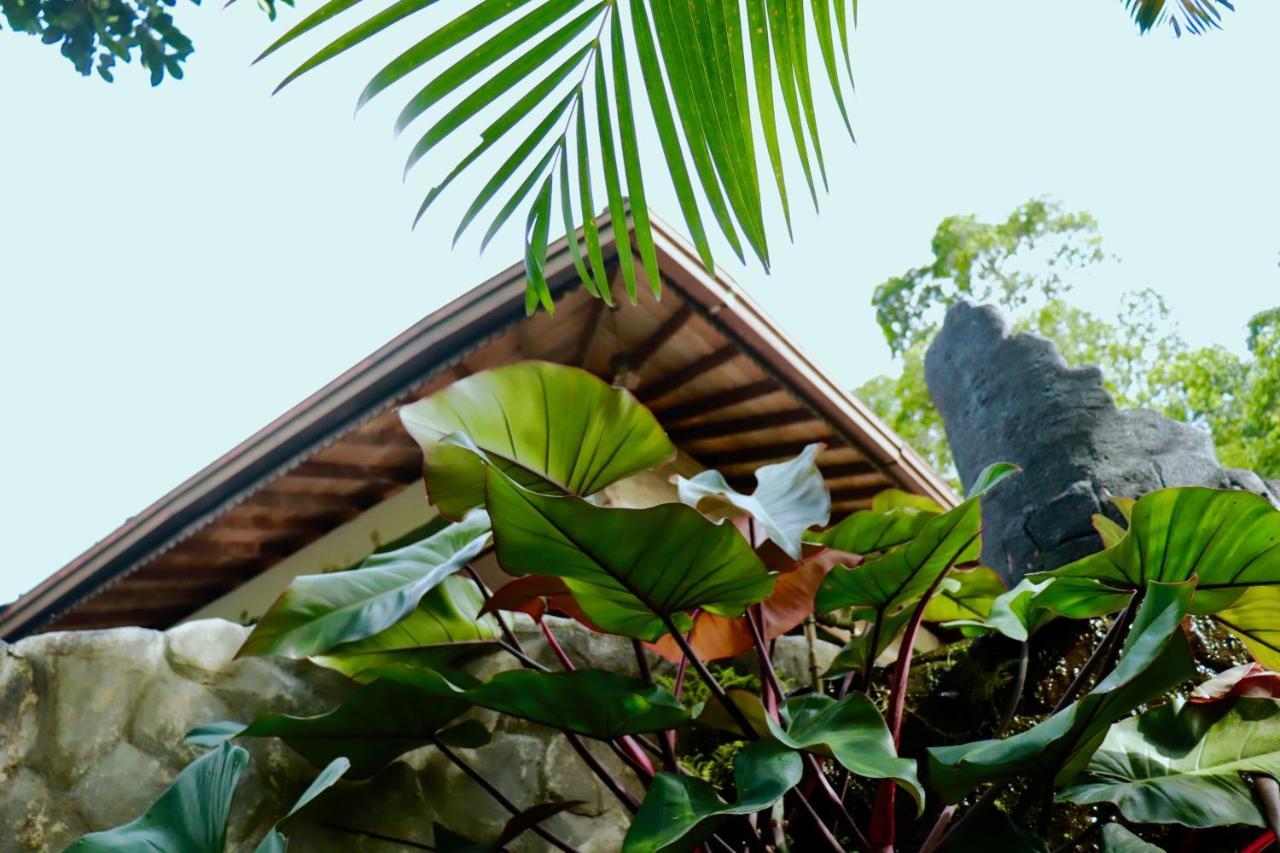 Paradise Eco Garden Kitulgala Exterior photo