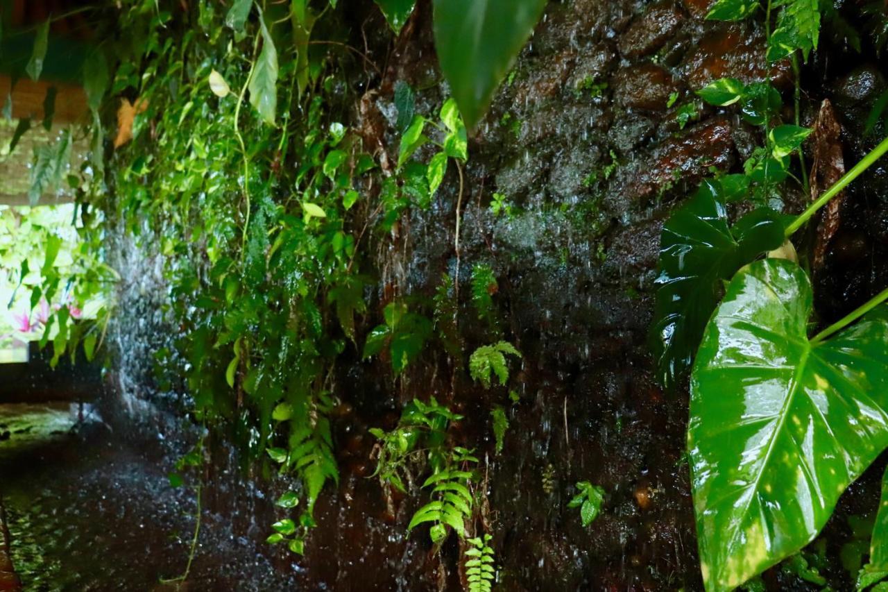 Paradise Eco Garden Kitulgala Exterior photo
