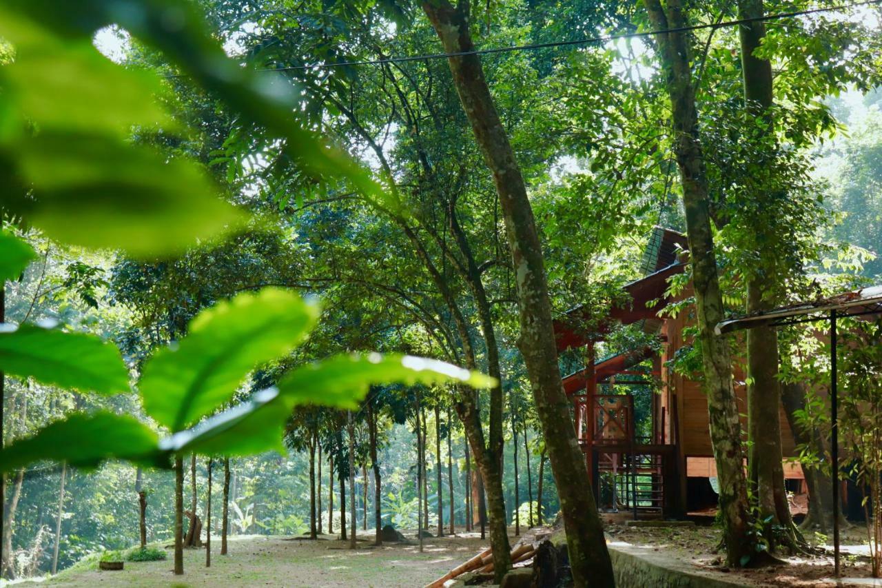 Paradise Eco Garden Kitulgala Exterior photo