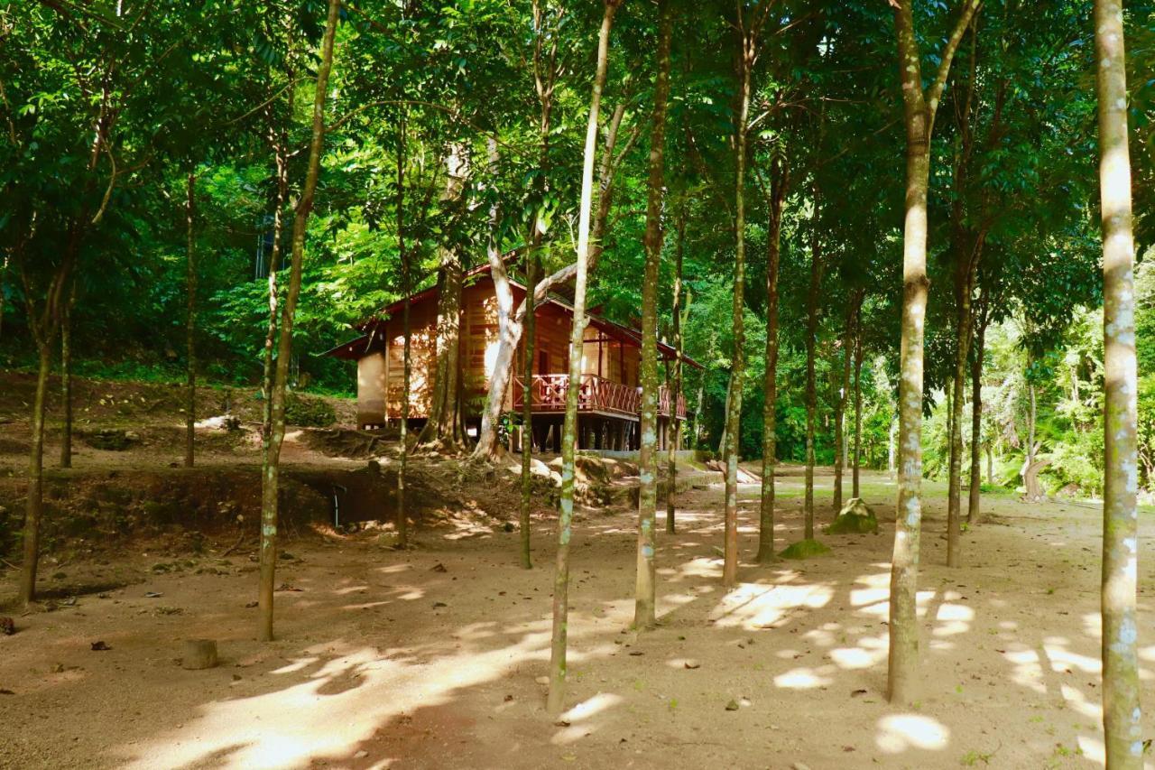 Paradise Eco Garden Kitulgala Exterior photo