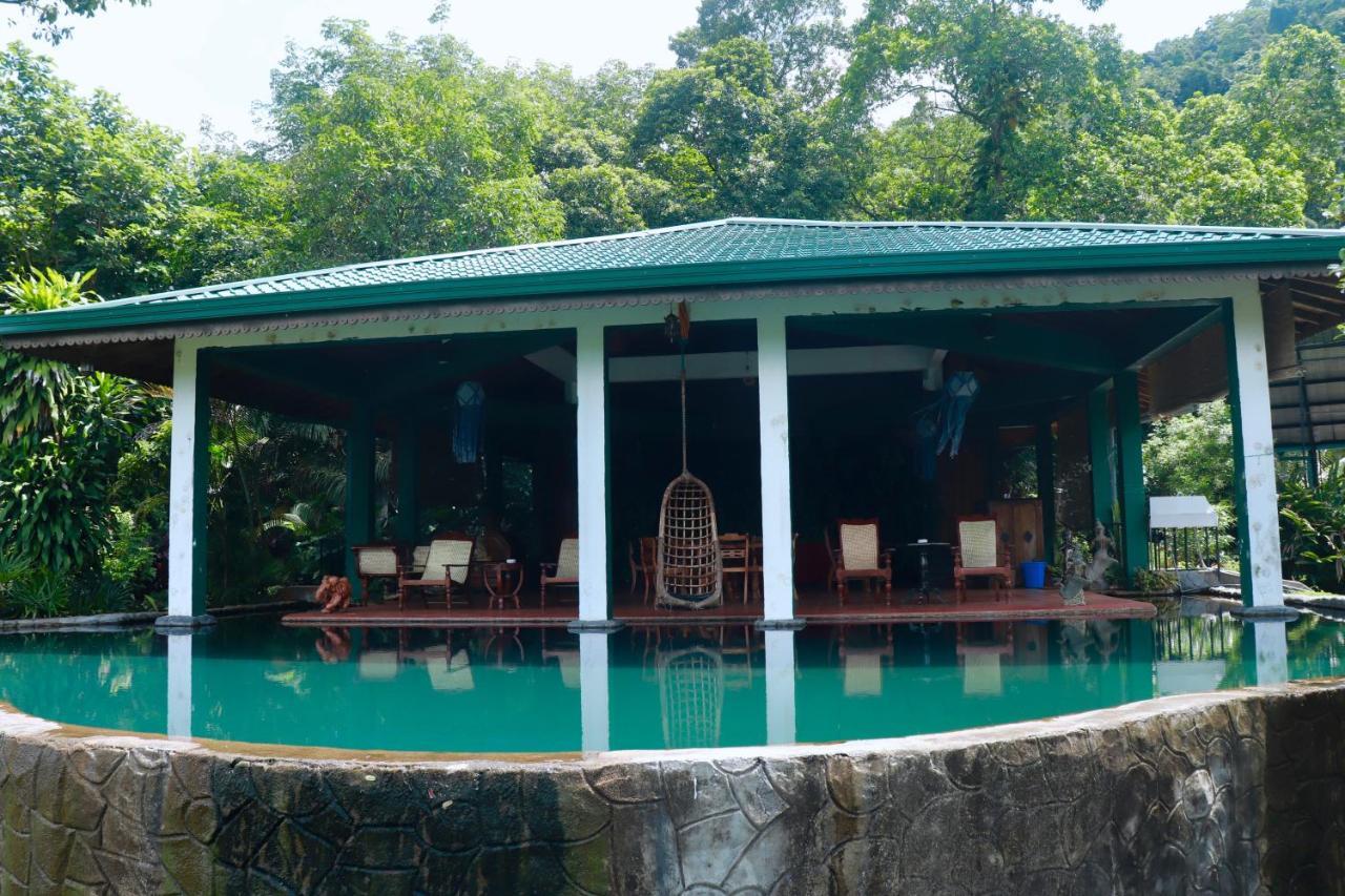 Paradise Eco Garden Kitulgala Exterior photo